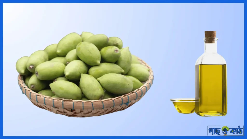 জলপাই তেলের স্বাস্থ্য উপকারিতা