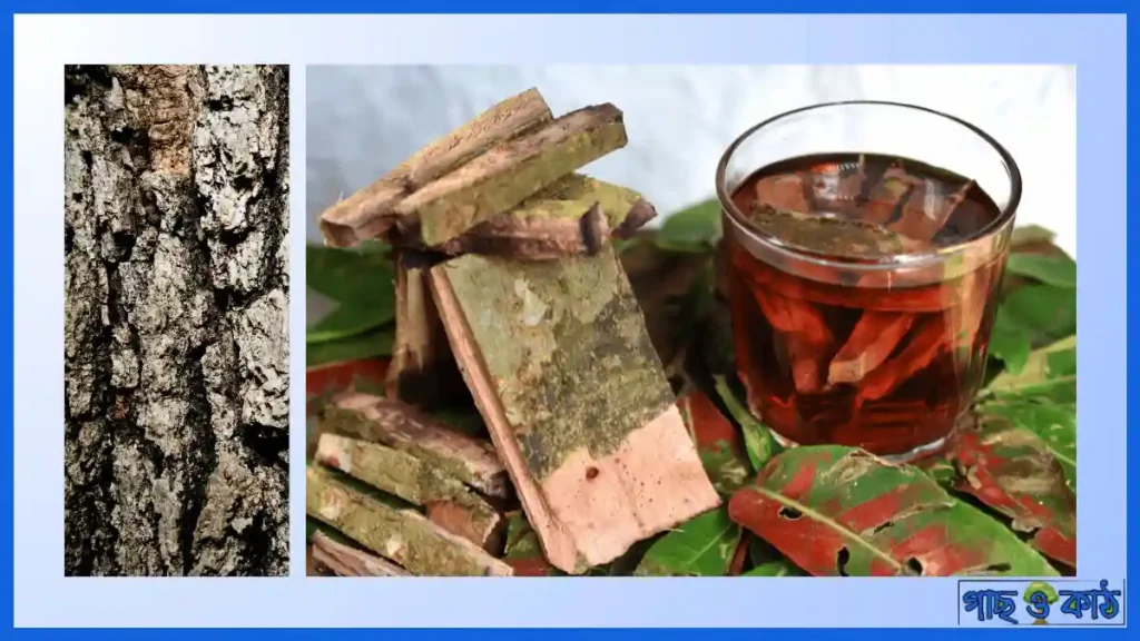 ছাল সেদ্ধ করে খাওয়ার নিয়ম